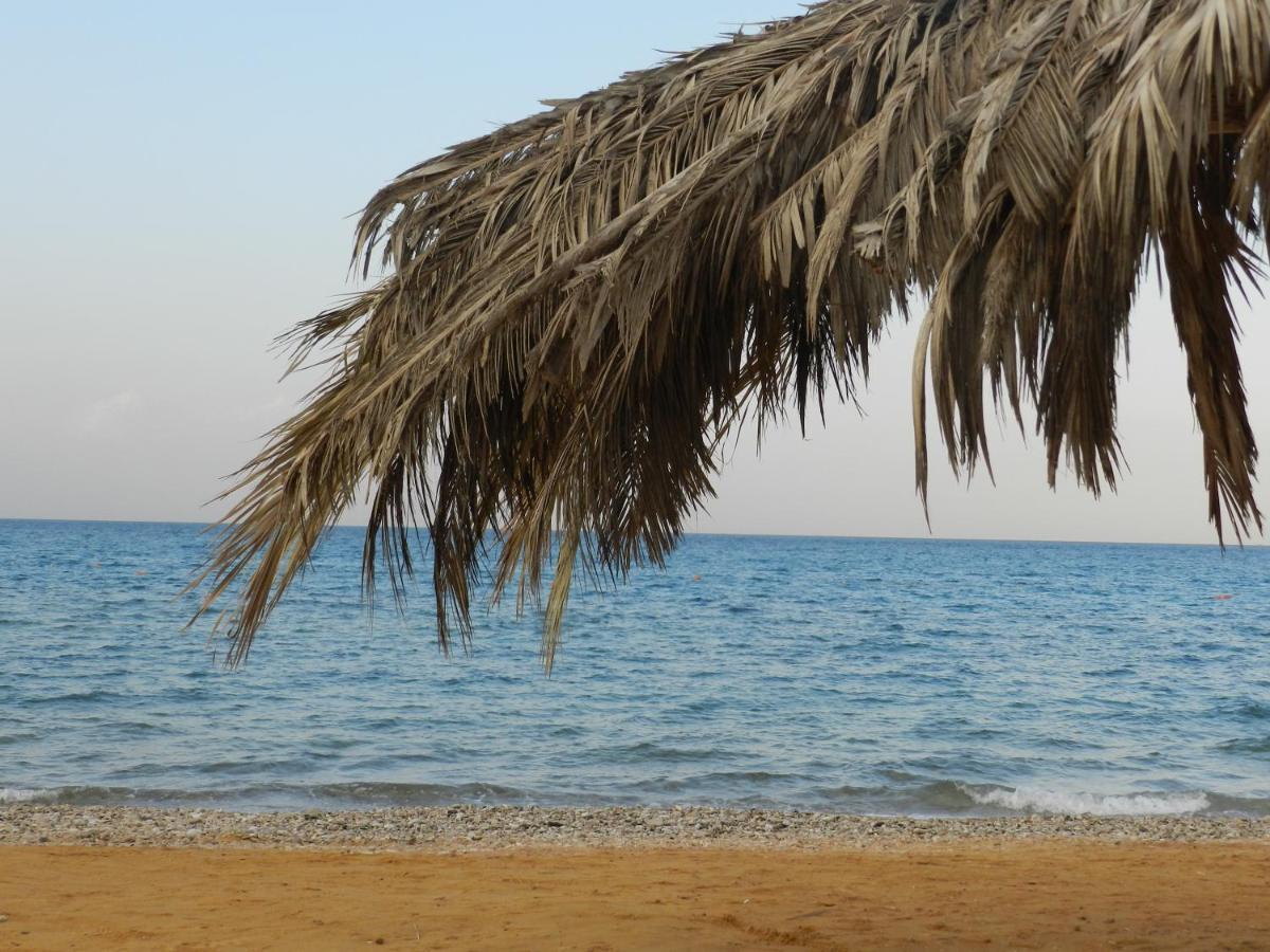 Telal Ain Sokhna Villa Айн-Сохна Экстерьер фото